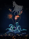 2014 马年