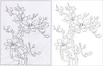 玉兰花 兰花