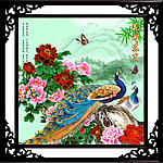 花开富贵 牡丹花