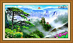 黄山迎客松