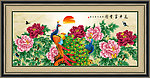 牡丹花
