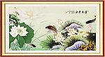 国画荷花