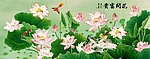 国画荷花