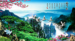 黄山迎客松