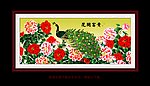 牡丹孔雀