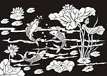 荷花鱼 莲花 鲤鱼