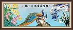 兰花 雅室兰香