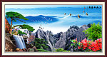 黄山迎客松