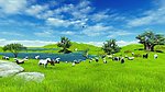 草原风景视频