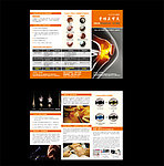 骨性关节炎三折页