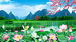 荷花