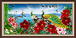 牡丹 花开富贵