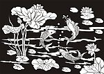 荷花鱼 鲤鱼 莲花鱼