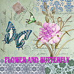 欧美花卉装饰画