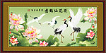 荷花仙鹤