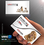 宠物名片