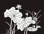 荷花 莲花