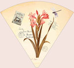 欧美花卉装饰画