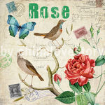 欧美风格花卉装饰画