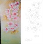 玉兰花