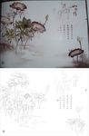 山水情
