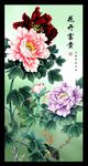牡丹花