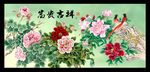 牡丹花