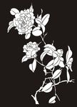 花草 芙蓉 牡丹