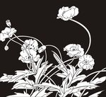 花草 花鸟 郁金香