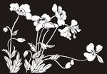 花草 郁金香 花鸟