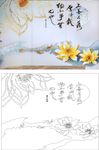 荷花 上善若水