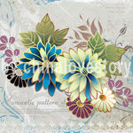 欧美花卉无框画