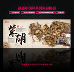 中草药 柴胡 中国风设