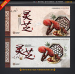 灵芝 中草药