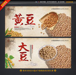 黄豆 大豆五谷杂粮