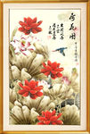 荷花图