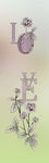 平开门  LOVE