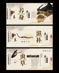 冬虫夏草海报