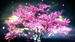 流光飞舞樱花树