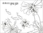 荷塘金色