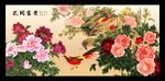 富贵牡丹