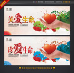 关爱生命