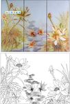 荷花鱼