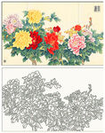 牡丹花