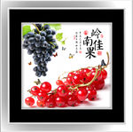 餐厅水果花卉装饰画