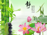 静竹子荷花