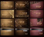 VIP 贵宾卡