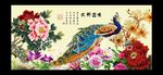 花开富贵 牡丹花