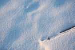 冰雪