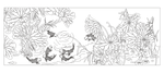 荷花鱼